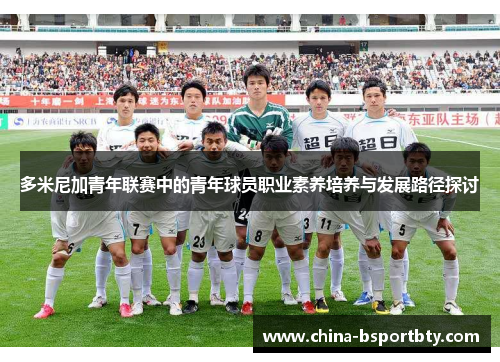 多米尼加青年联赛中的青年球员职业素养培养与发展路径探讨
