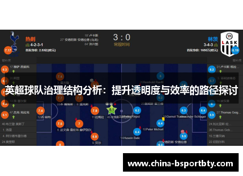 英超球队治理结构分析：提升透明度与效率的路径探讨
