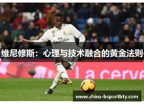 维尼修斯：心理与技术融合的黄金法则