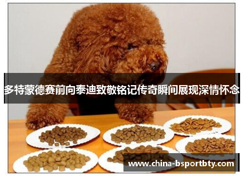 多特蒙德赛前向泰迪致敬铭记传奇瞬间展现深情怀念