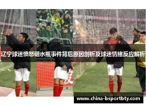辽宁球迷愤怒砸水瓶事件背后原因剖析及球迷情绪反应解析